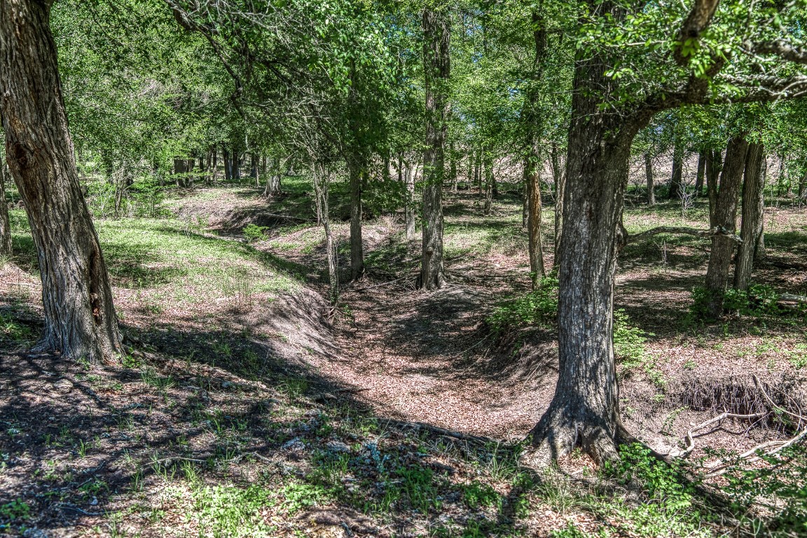 7108 Boehnemann Road Brenham, TX 77833 - Photo 3 of 26