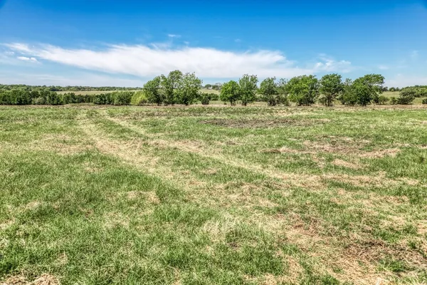 a view of a field with trees in the background
