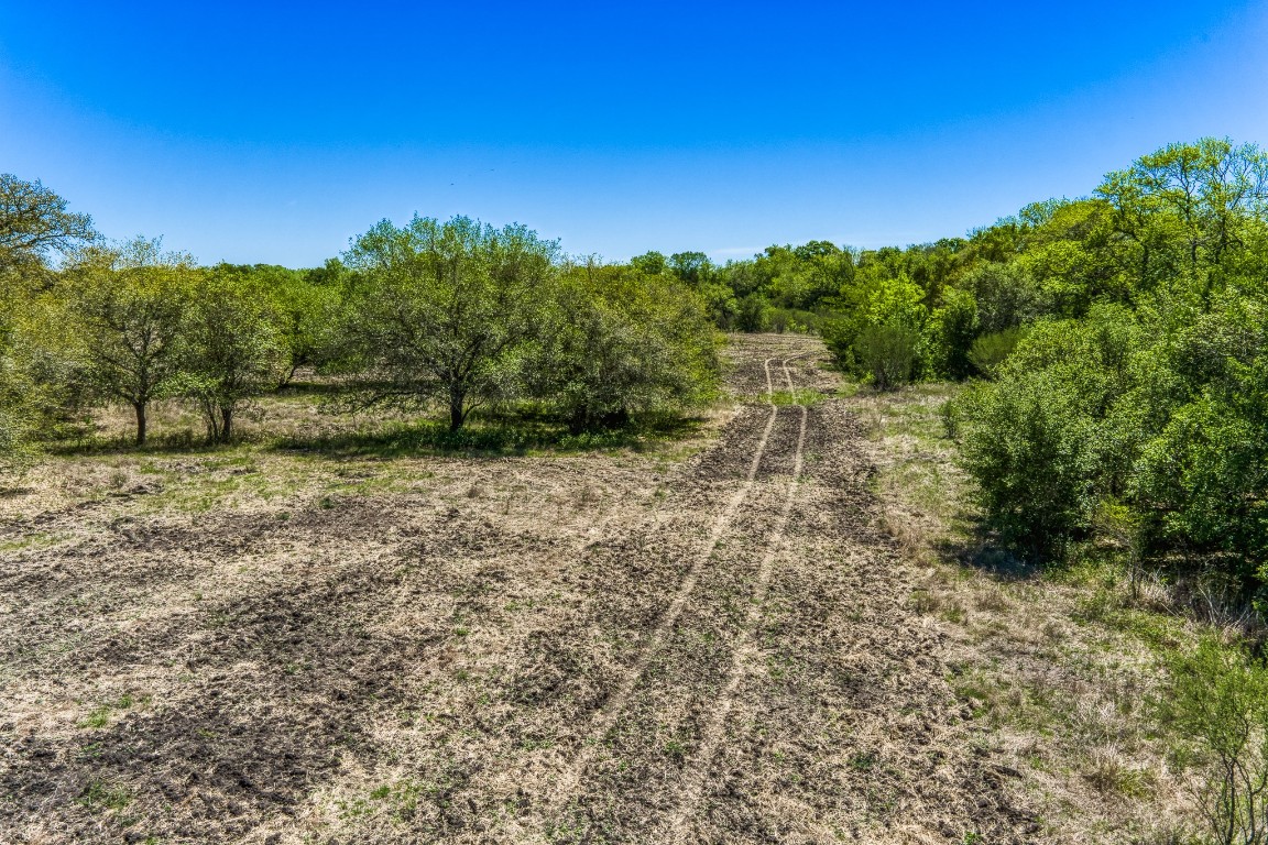 7108 Boehnemann Road Brenham, TX 77833 - Photo 8 of 26