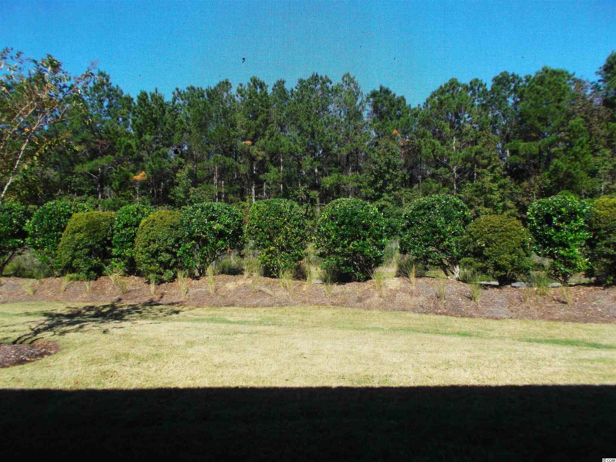 233 Madrid Drive, Unit 233 Murrells Inlet, SC 29576 - Photo 10 of 22 Gallery Image 10