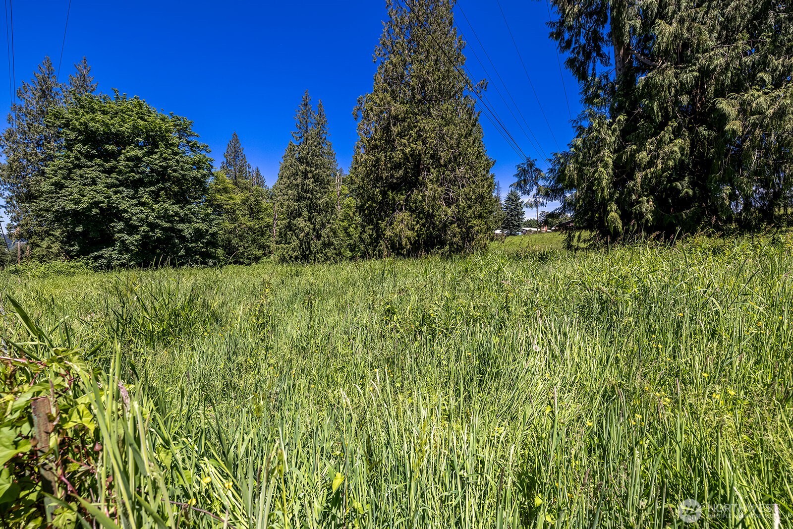 18901 Welch Road Snohomish, WA 98296 - Photo 11 of 25