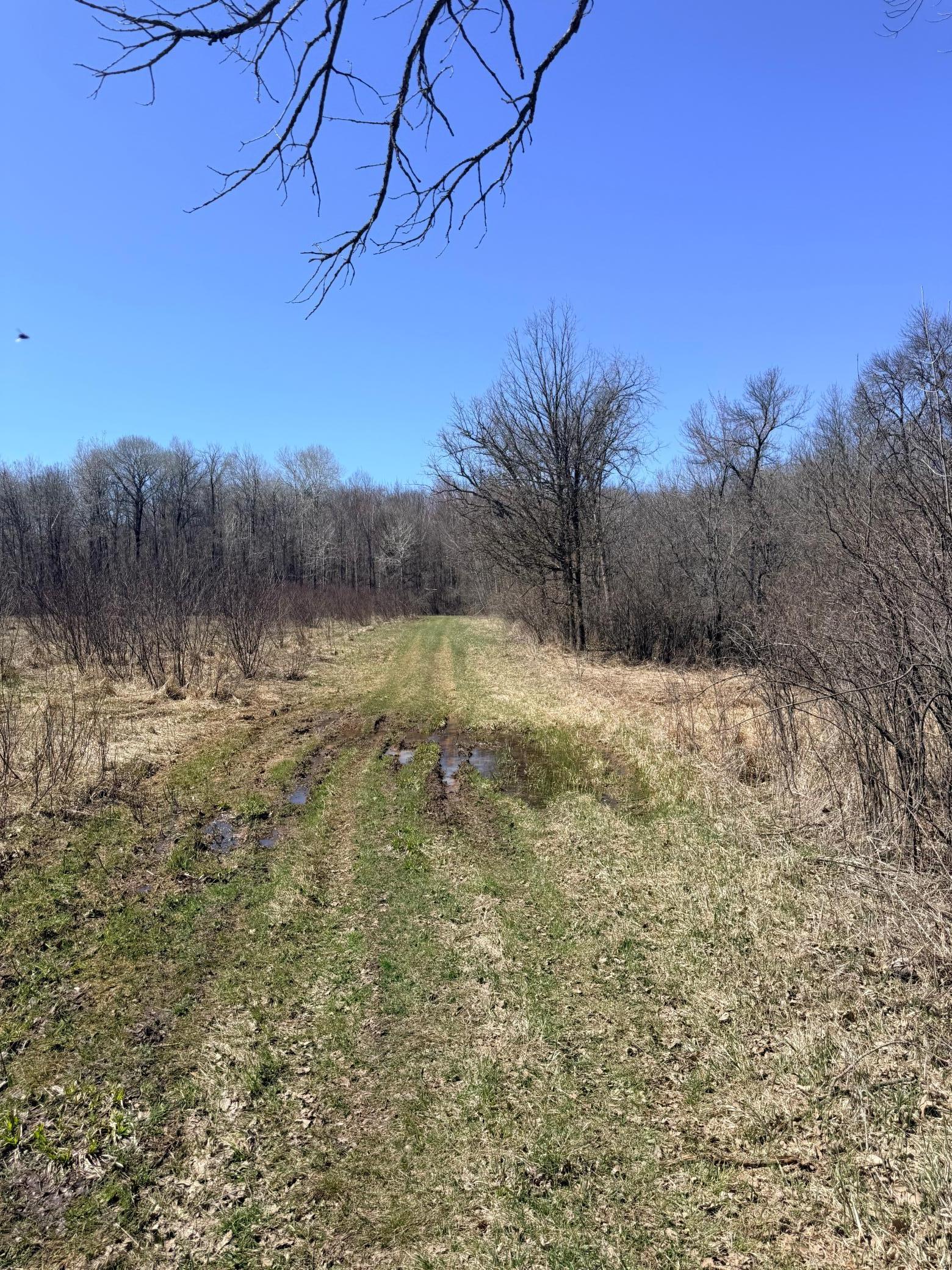 Xxx Rice Road Brook Park, MN 55007 - Photo 19 of 27 Gallery Image 19