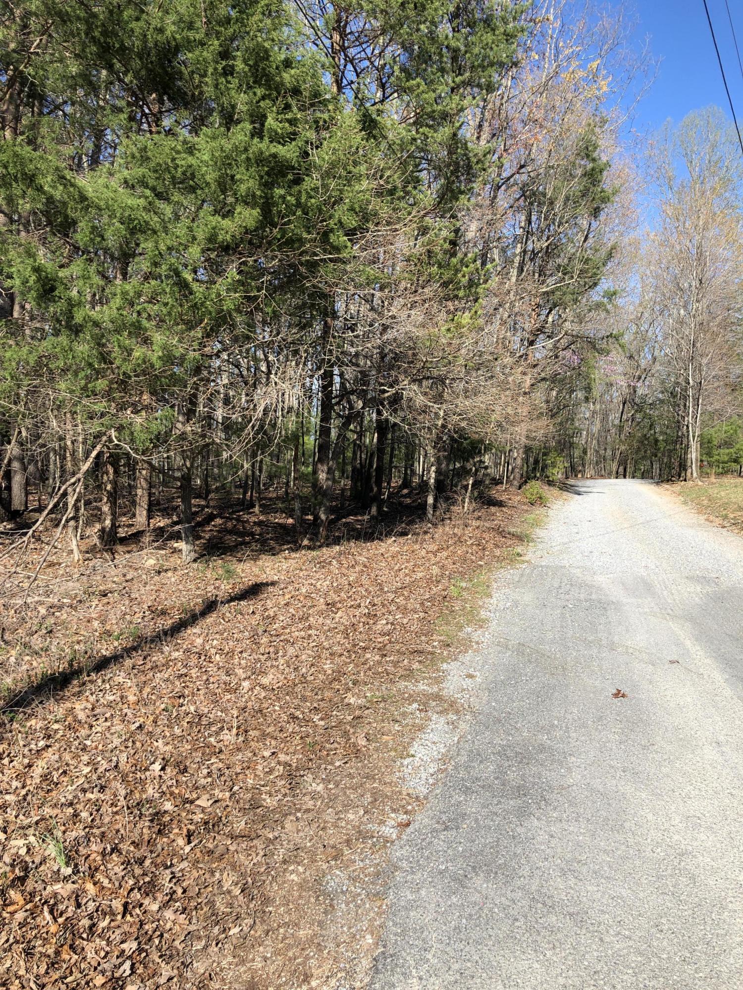 0 Jamestown Road Rocky Mount, VA 24151 - Photo 1 of 37 IMG_1764