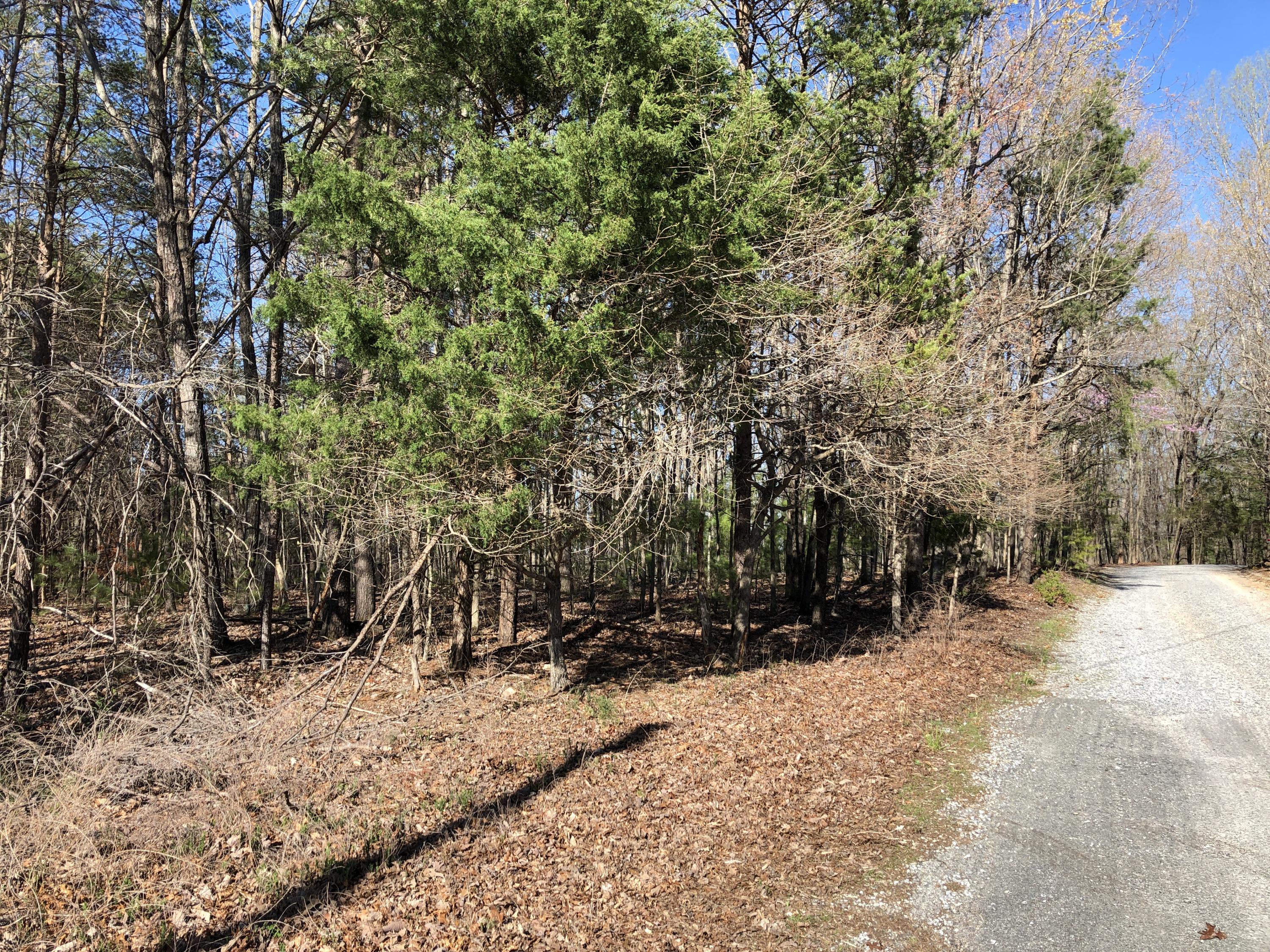 0 Jamestown Road Rocky Mount, VA 24151 - Photo 2 of 37 IMG_1765
