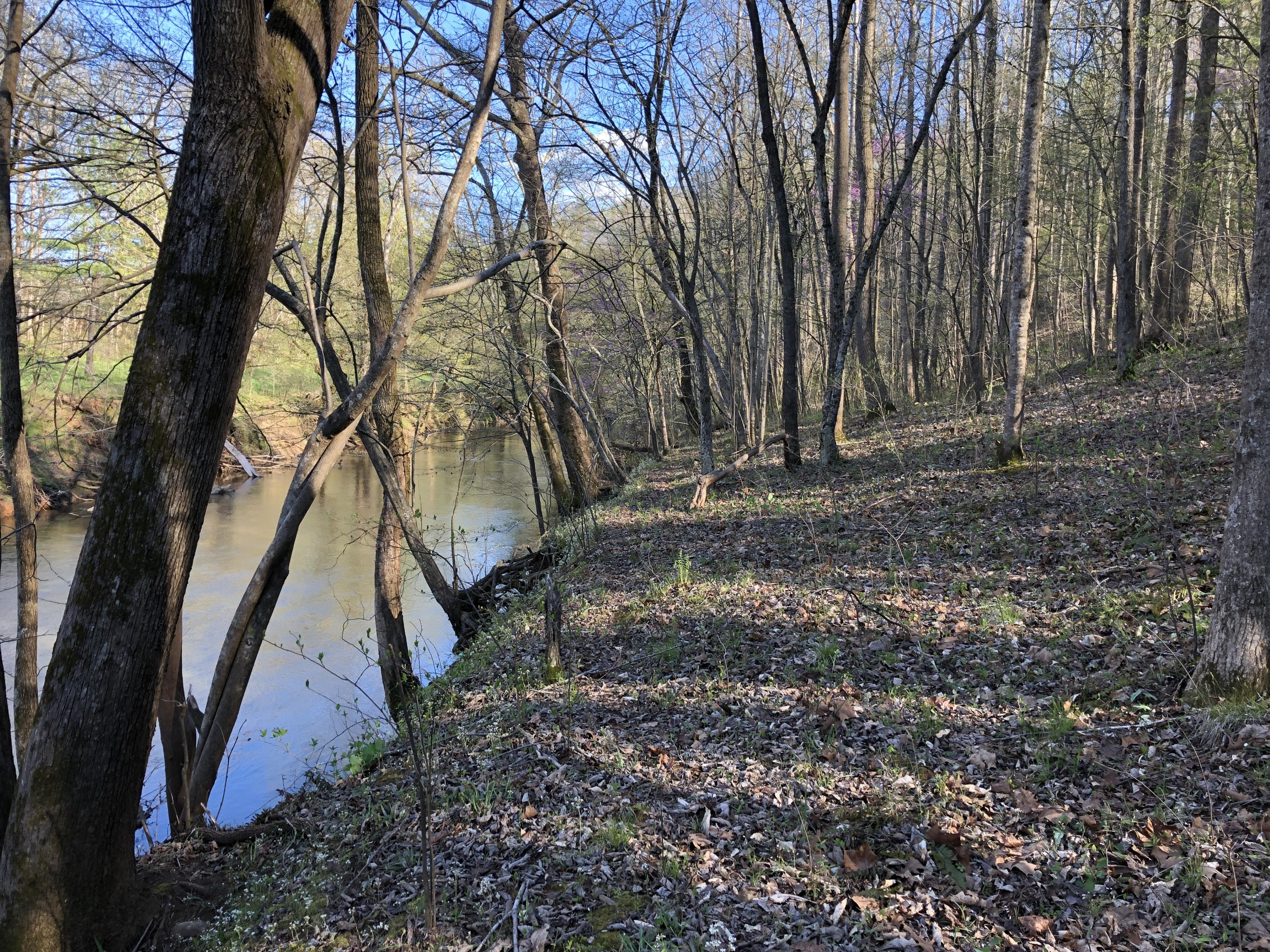 0 Jamestown Road Rocky Mount, VA 24151 - Photo 24 of 37 IMG_1789