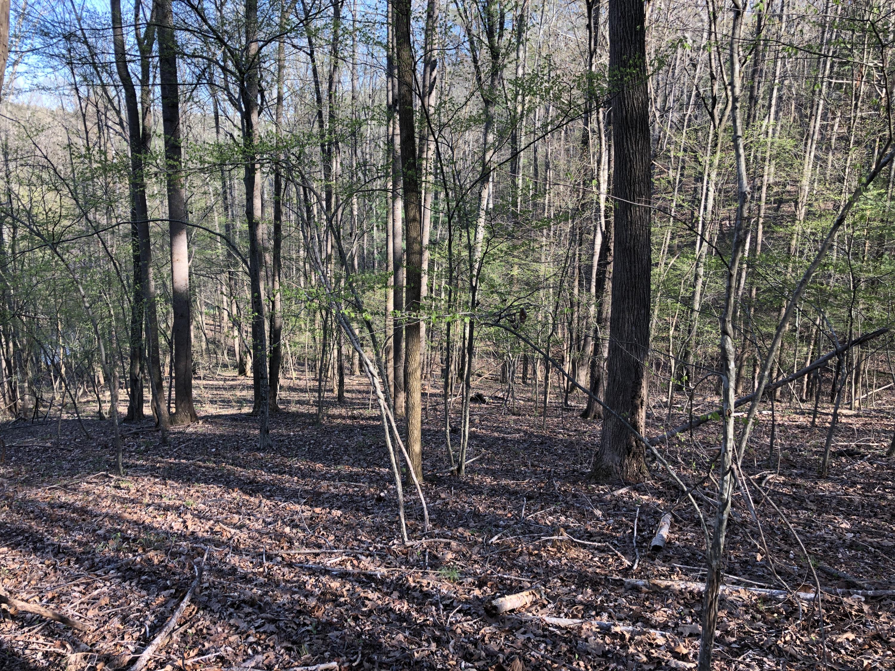 0 Jamestown Road Rocky Mount, VA 24151 - Photo 31 of 37 IMG_1796