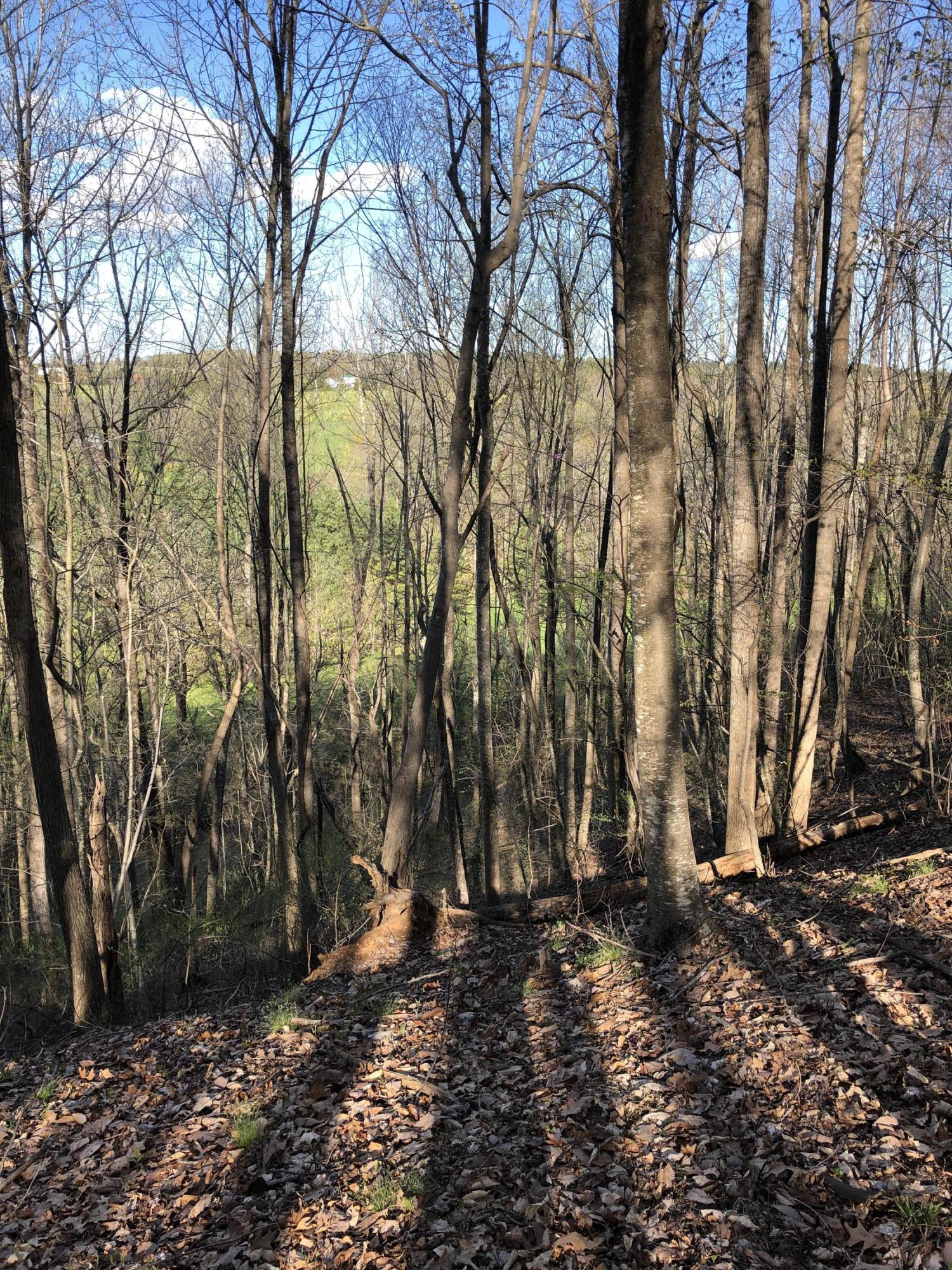 0 Jamestown Road Rocky Mount, VA 24151 - Photo 33 of 37 IMG_1798