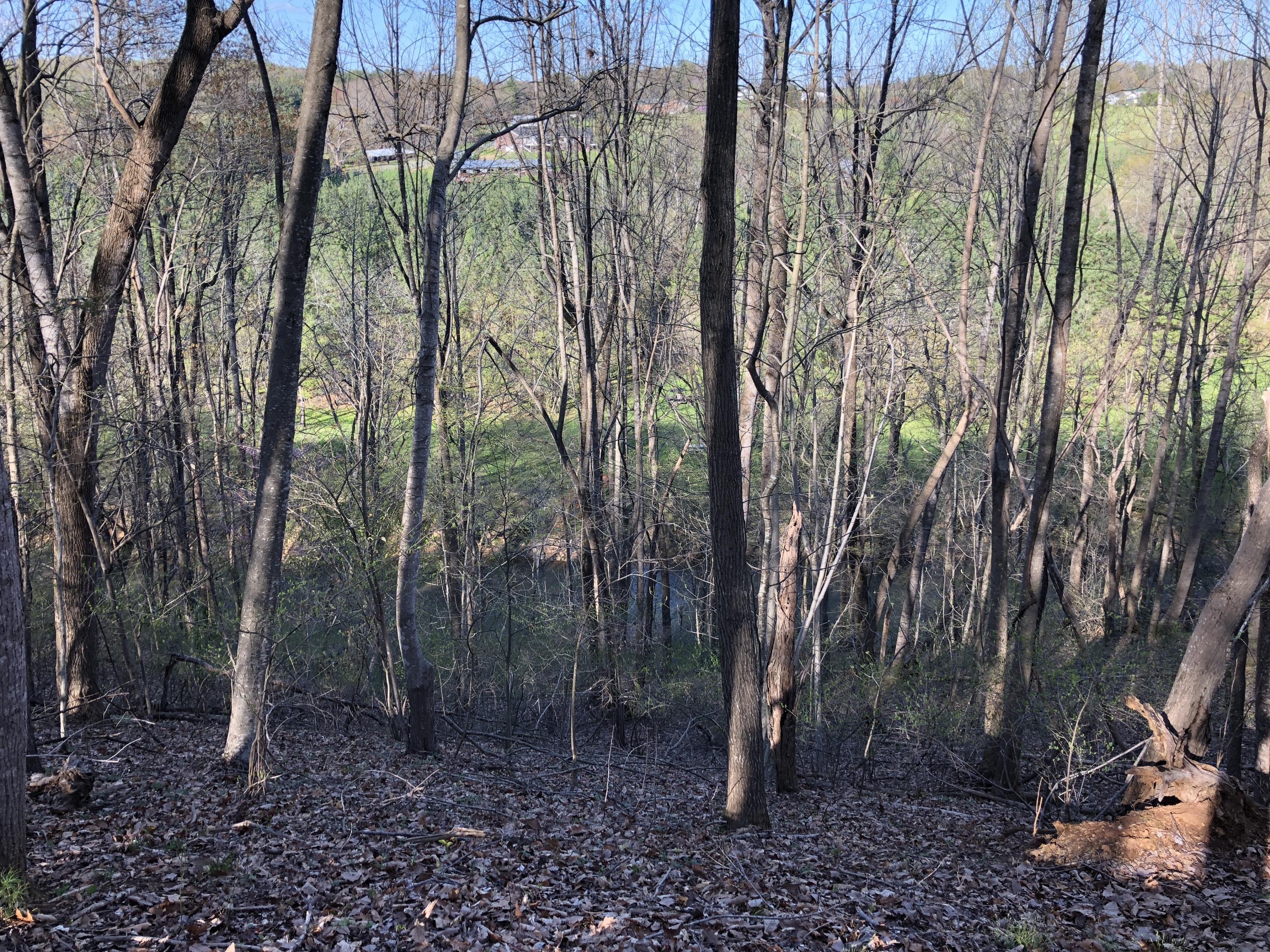0 Jamestown Road Rocky Mount, VA 24151 - Photo 34 of 37 IMG_1799