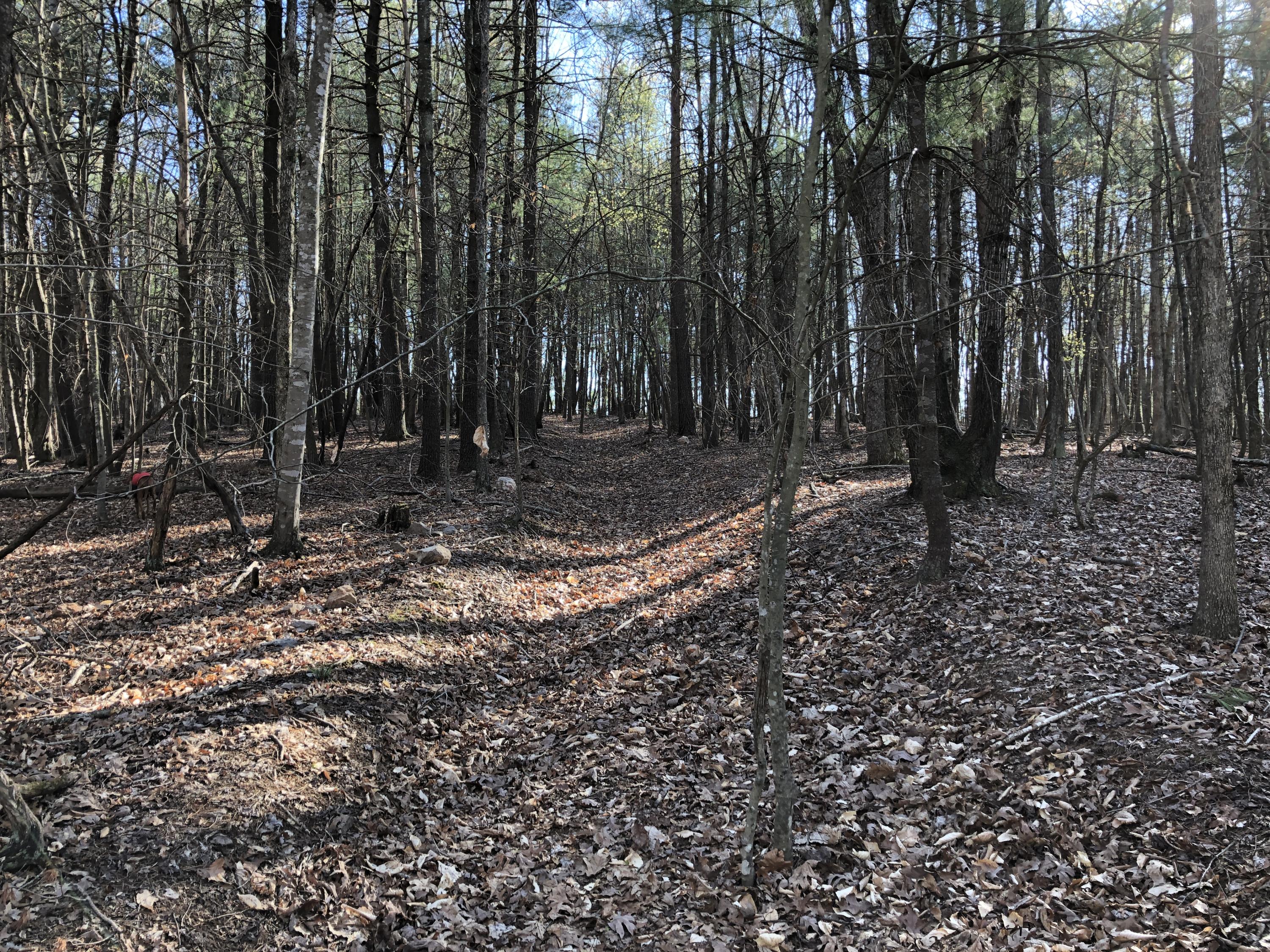 0 Jamestown Road Rocky Mount, VA 24151 - Photo 37 of 37 IMG_1802