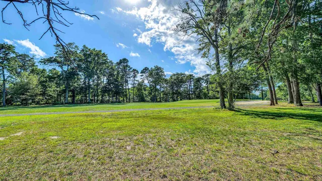 a view of a trees with a yard
