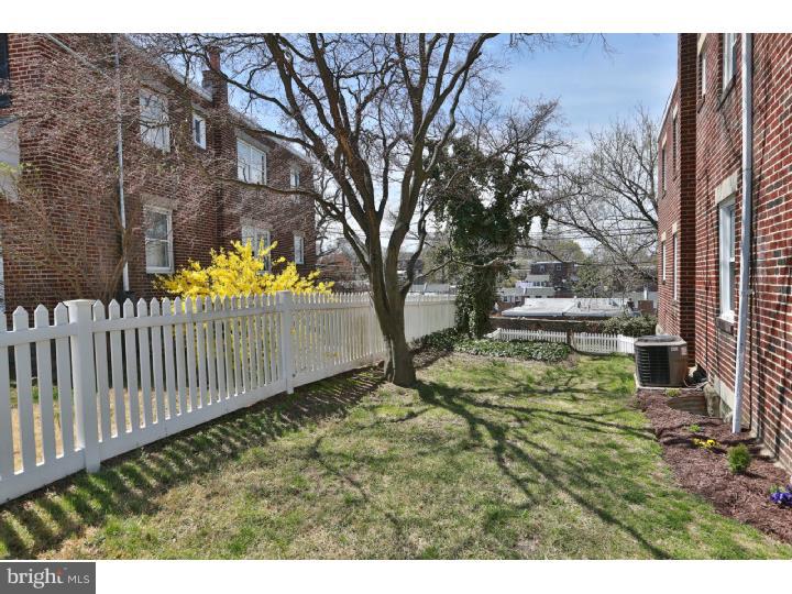 556 Pedley Road Philadelphia, PA 19128 - Photo 22 of 25 Side Yard