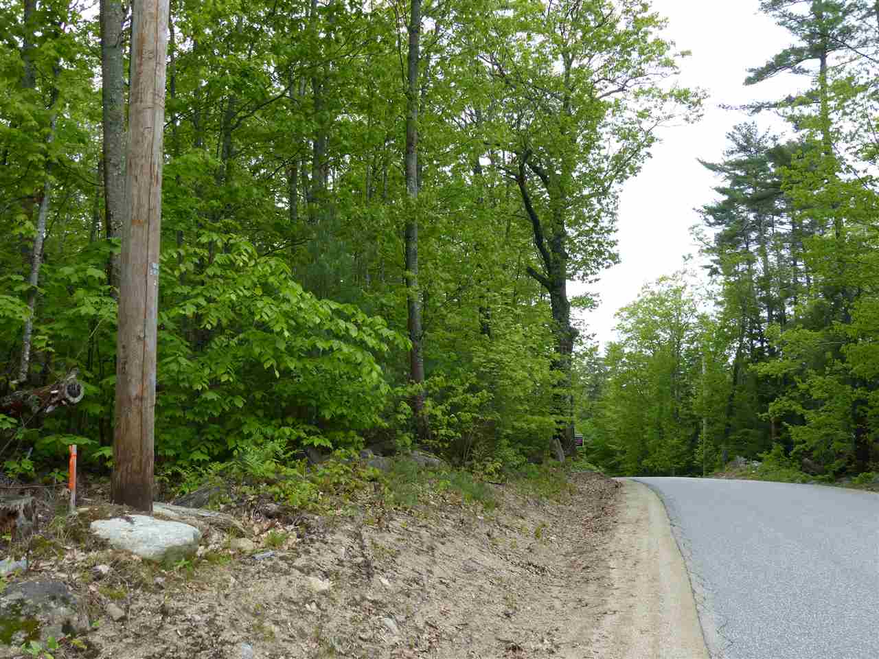 209-4 Center Harbor Neck Road Center Harbor, NH 03226 - Photo 11 of 40 Gallery Image 11