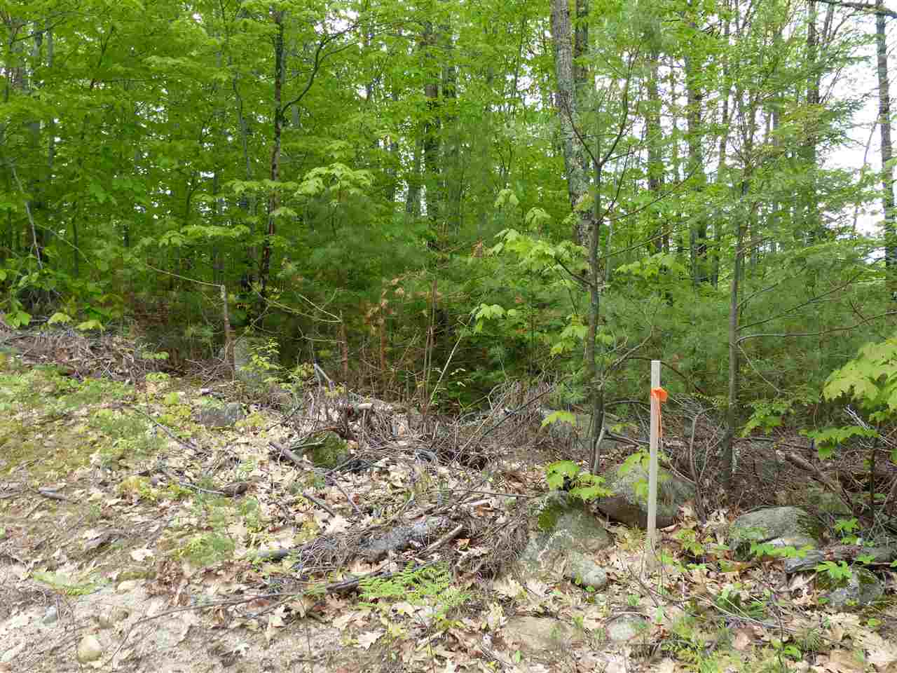 209-4 Center Harbor Neck Road Center Harbor, NH 03226 - Photo 12 of 40 Gallery Image 12