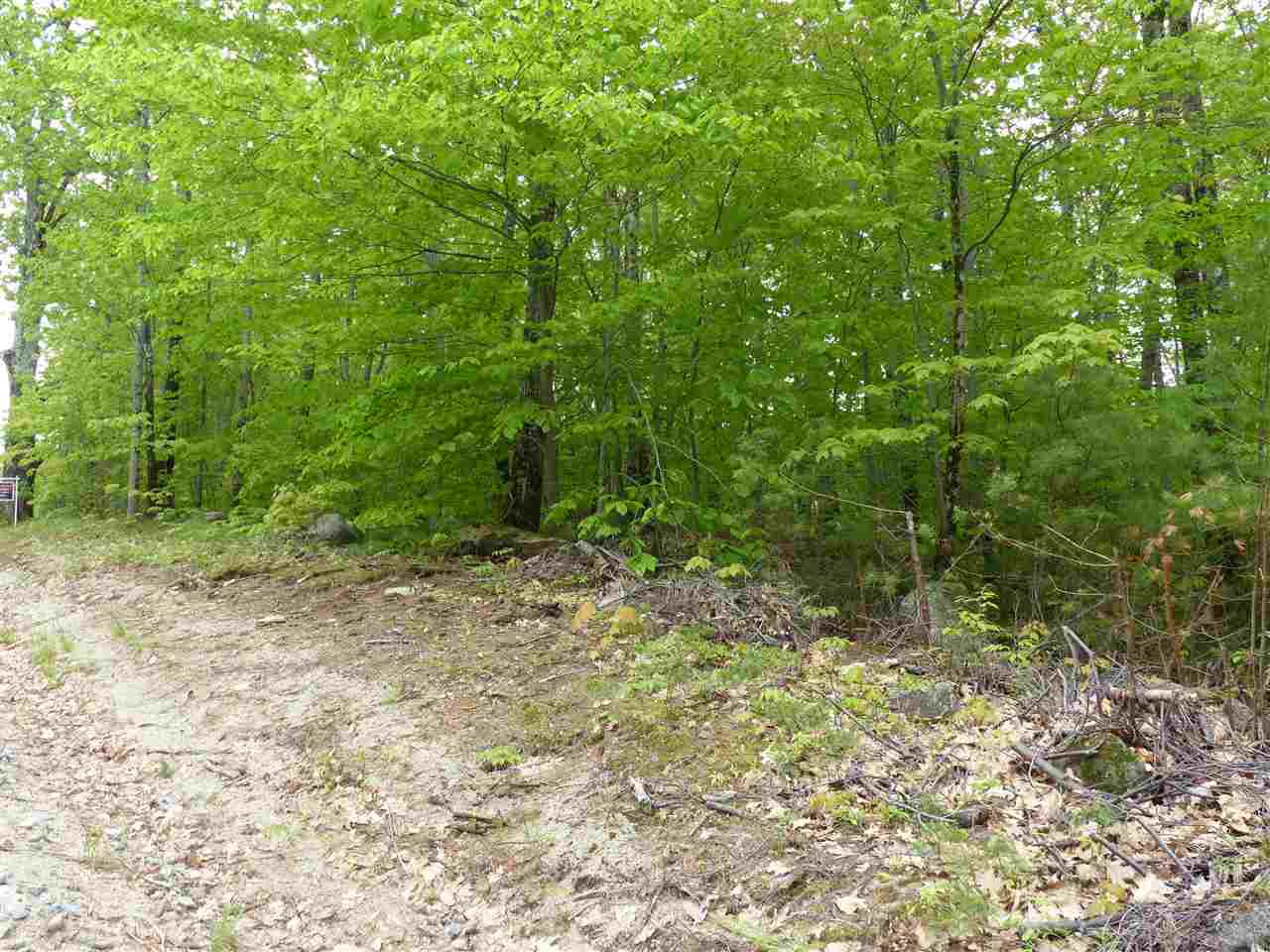 209-4 Center Harbor Neck Road Center Harbor, NH 03226 - Photo 13 of 40 Gallery Image 13
