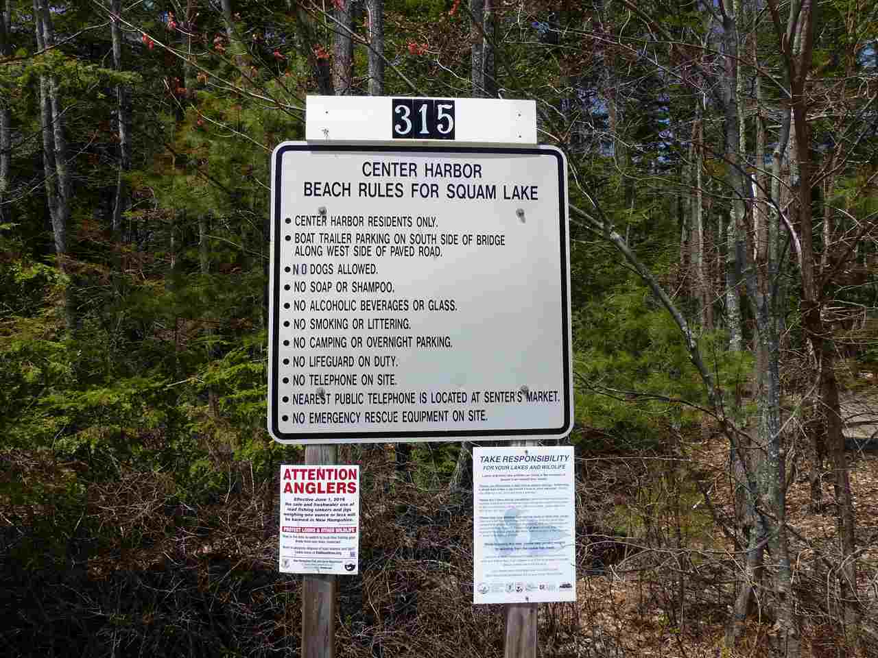 209-4 Center Harbor Neck Road Center Harbor, NH 03226 - Photo 14 of 40 Gallery Image 14