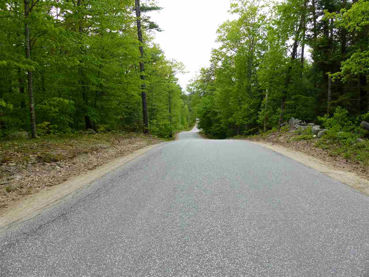 209-4 Center Harbor Neck Road Center Harbor, NH 03226 - Photo 6 of 40 Gallery Image 6
