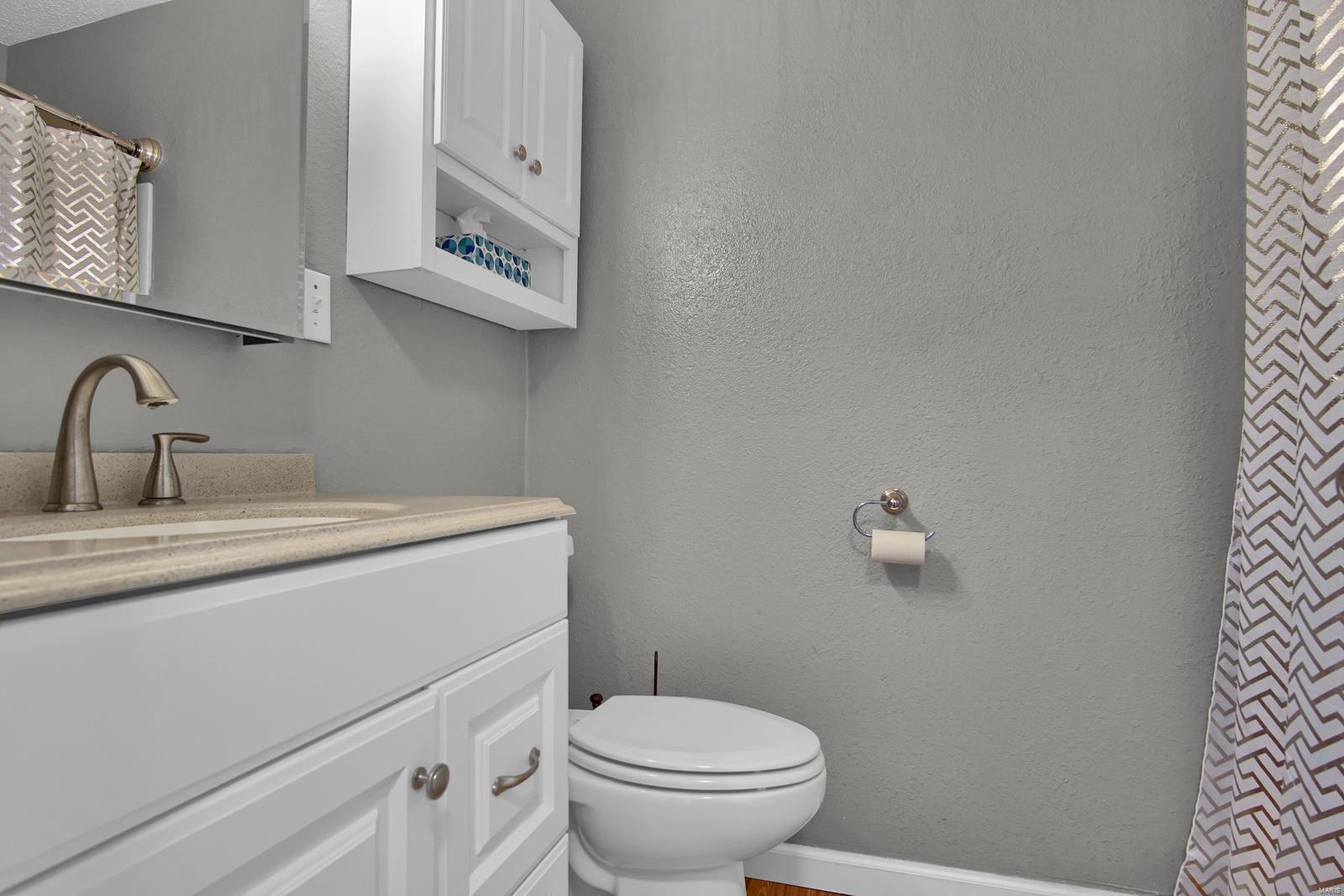 207 East 3rd Street O'Fallon, IL 62269 - Photo 5 of 22 Gallery Image 5