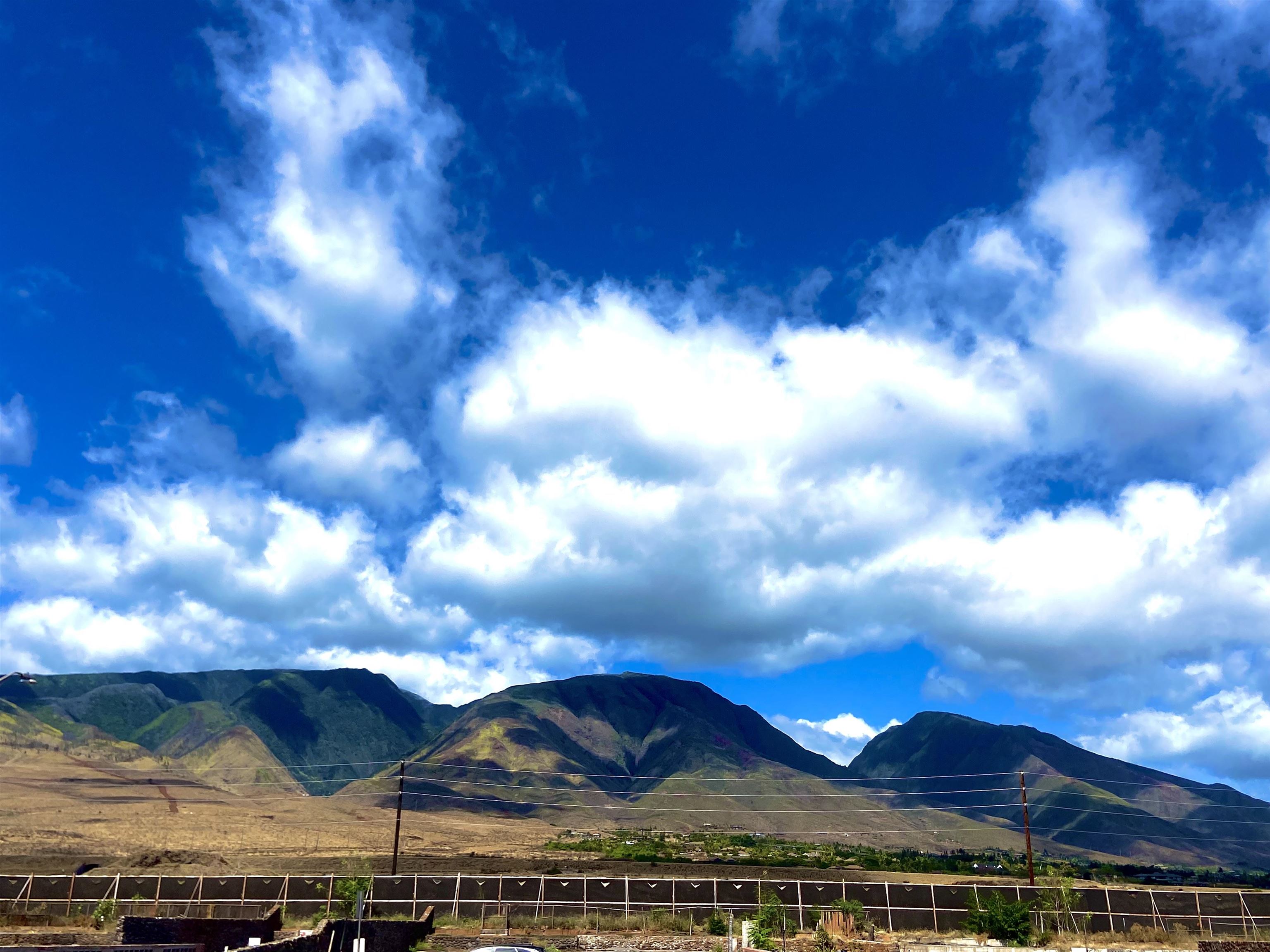 353 Aulike Street Lahaina, HI 96761 - Photo 2 of 6