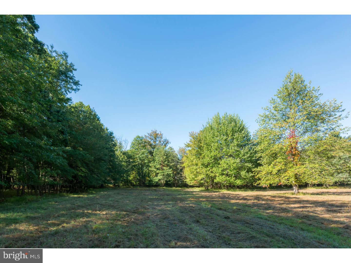 1137 Great Road Princeton, NJ 08540 - Photo 4 of 10