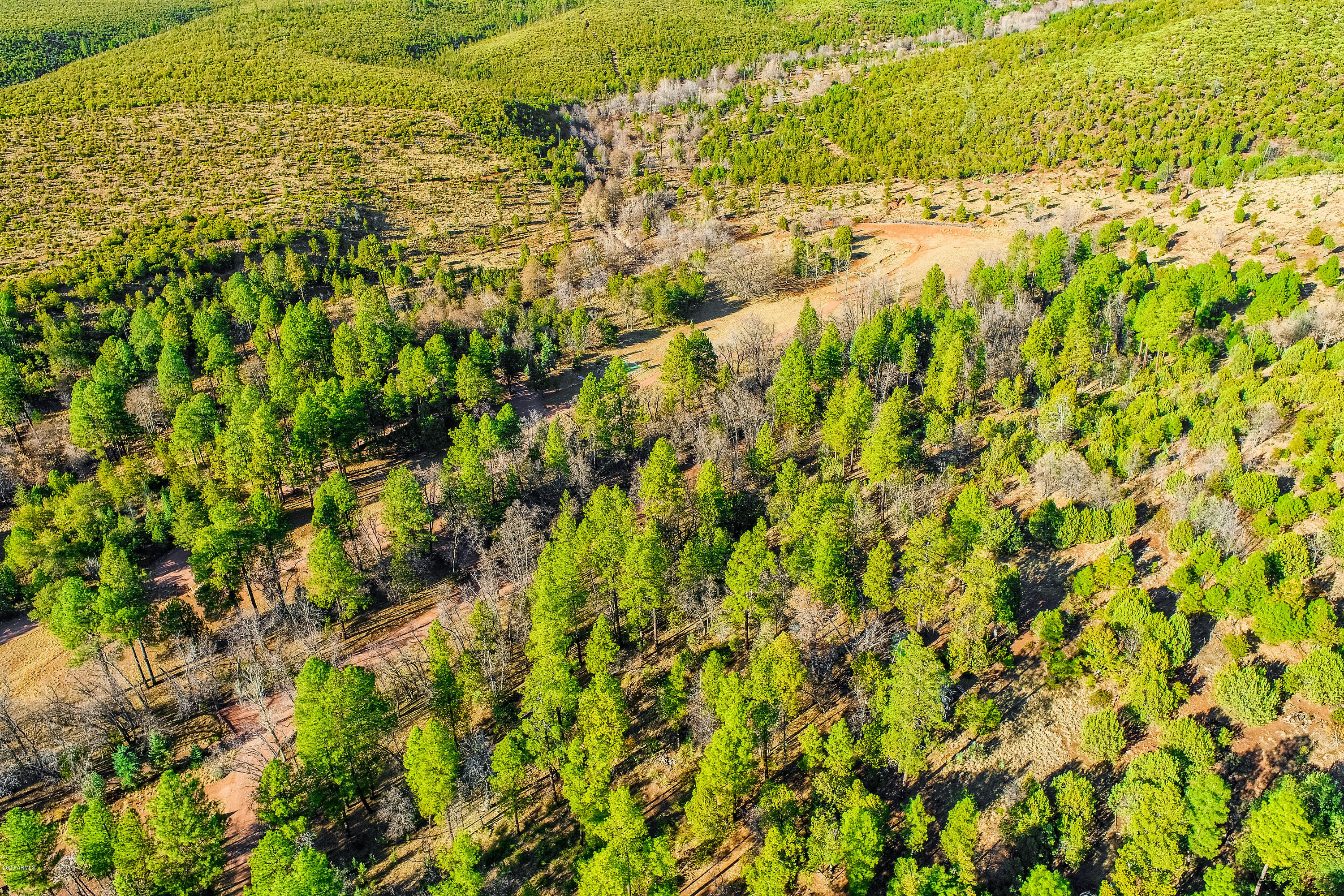 1804 Pyle Ranch Road Payson, AZ 85541 - Photo 15 of 90 La_Cienega_Ranch_087