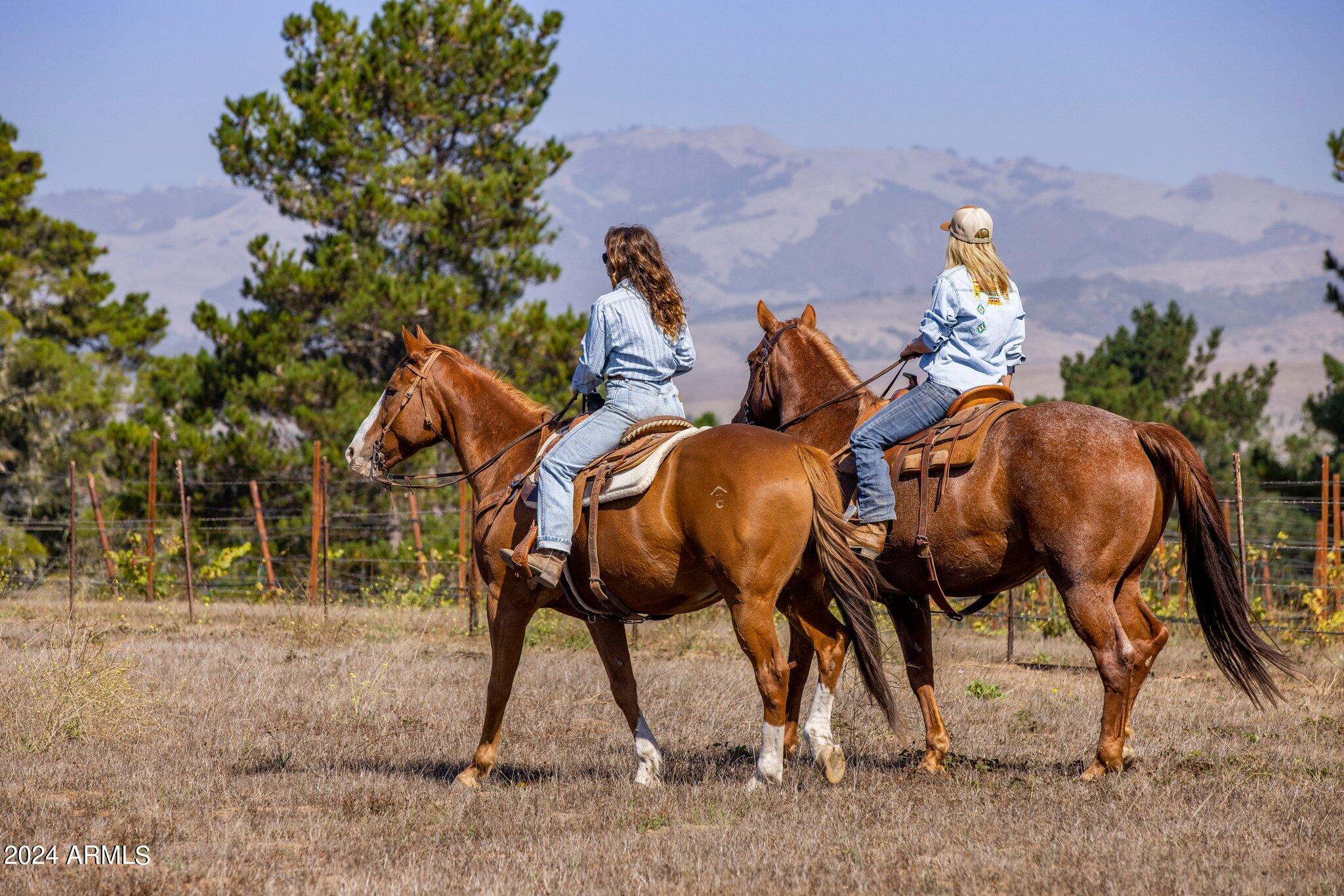 1804 Pyle Ranch Road Payson, AZ 85541 - Photo 20 of 90 78-web-or-mls-D46A5739