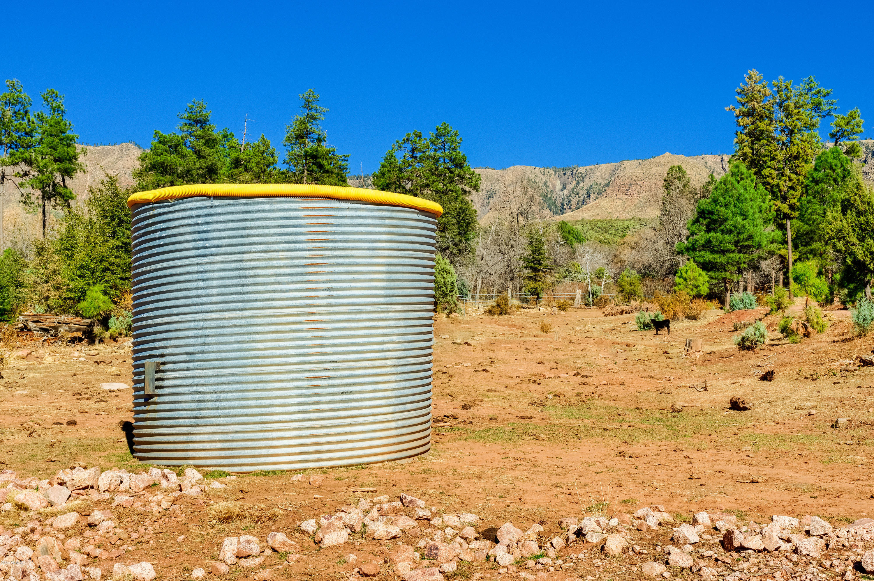 1804 Pyle Ranch Road Payson, AZ 85541 - Photo 31 of 90 No Toro Ranch