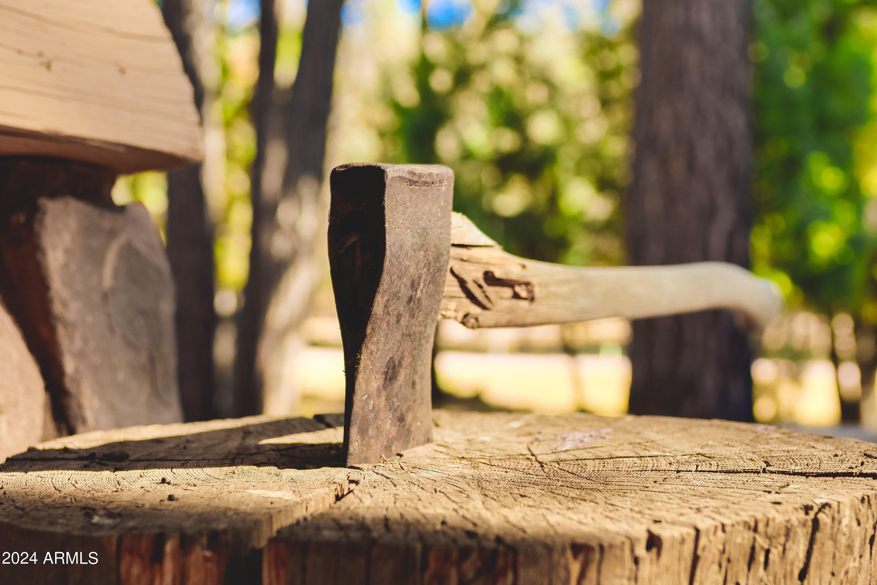 1804 Pyle Ranch Road Payson, AZ 85541 - Photo 43 of 90 017-La_Cienega_Ranch_017