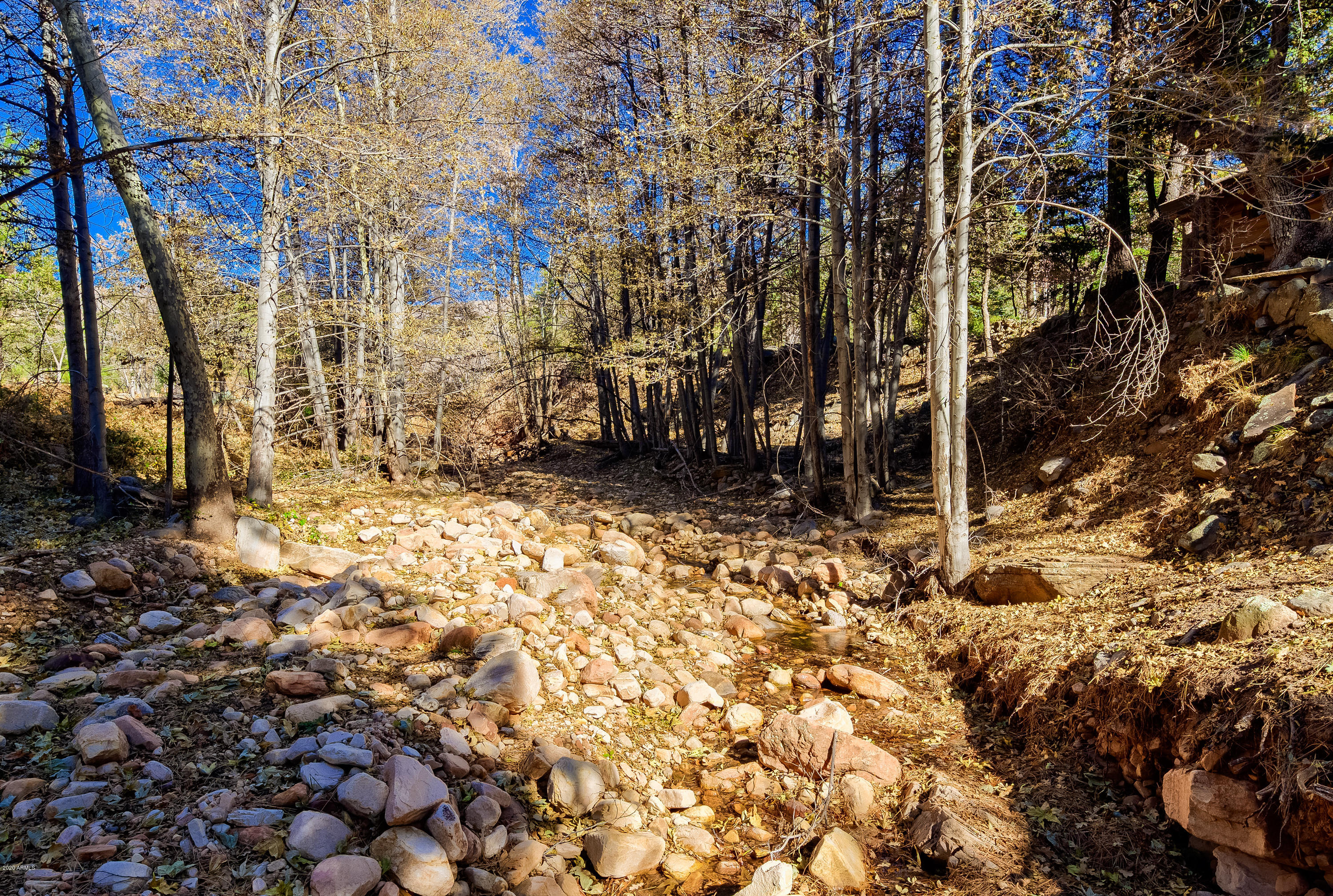 1804 Pyle Ranch Road Payson, AZ 85541 - Photo 10 of 90 Game and Fish Paradise