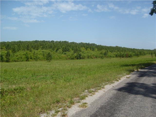 0 North Ore Road Westpoint, TN 38486 - Photo 1 of 7