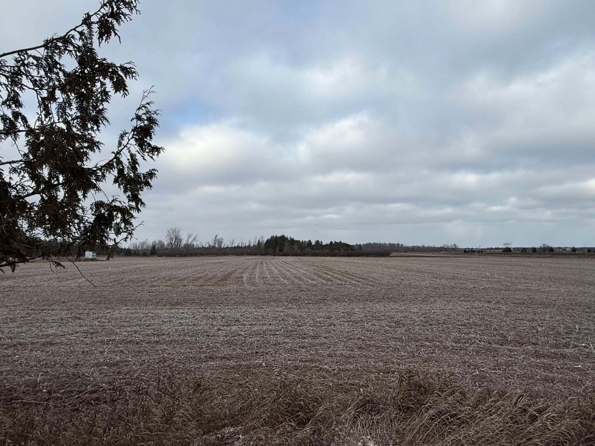 7550 Kleve Road Hubbard Lake, MI 49747 - Photo 20 of 20 Gallery Image 20