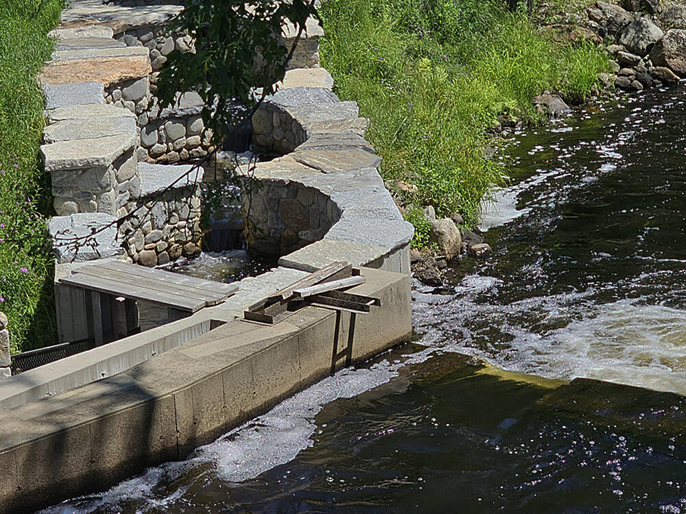 8 Longfellow School Road Bristol, ME 04539 - Photo 72 of 73 Fish Ladder