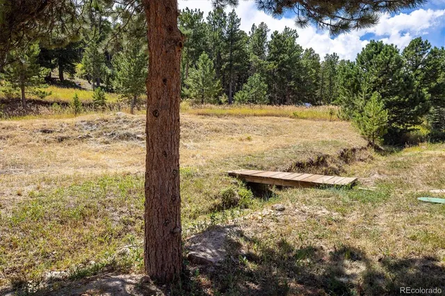a backyard of a house with barbeque oven and trees