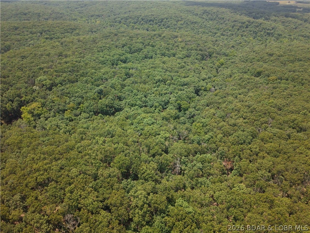 Canfield Ridge Climax Springs, MO 65324 - Photo 8 of 13 Gallery Image 8
