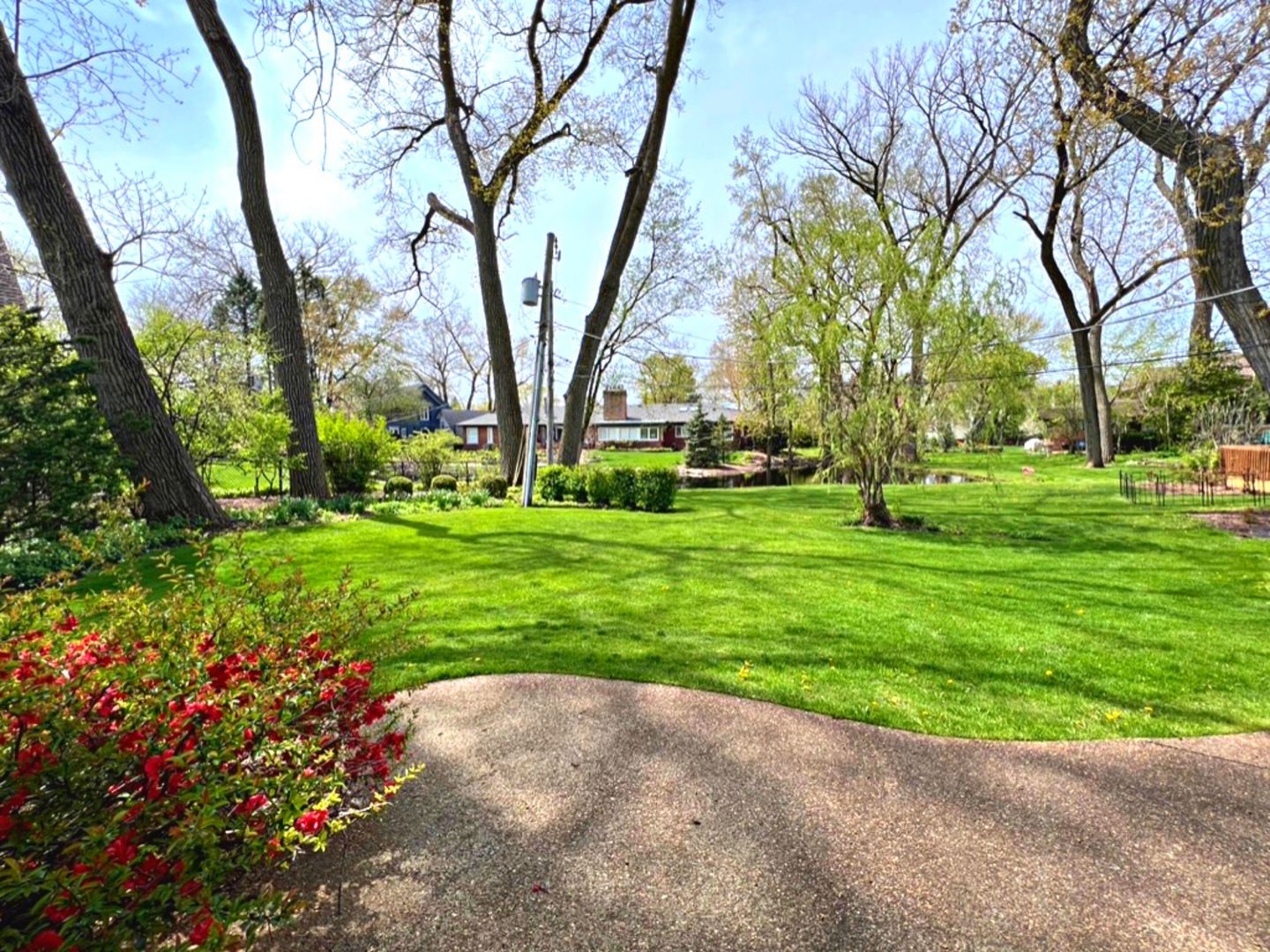 910 North Prospect Avenue Park Ridge, IL 60068 - Photo 17 of 18 a view of a park with large trees