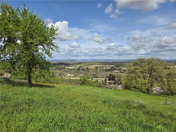 a view of a big yard with lots of green space