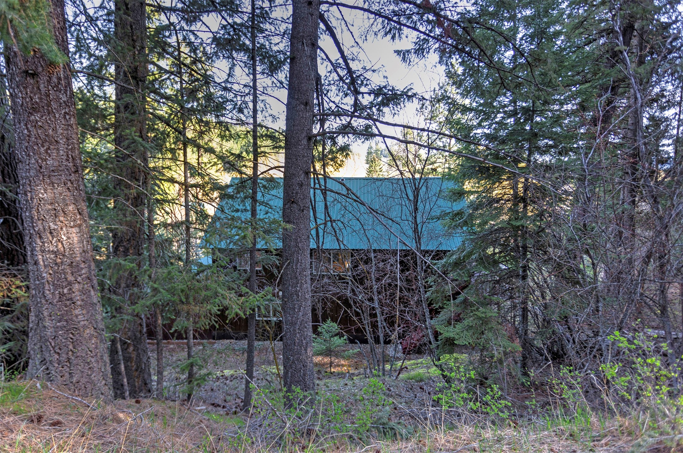499 Bunkhouse Road Darby, MT 59829 - Photo 60 of 85 Gallery Image 60