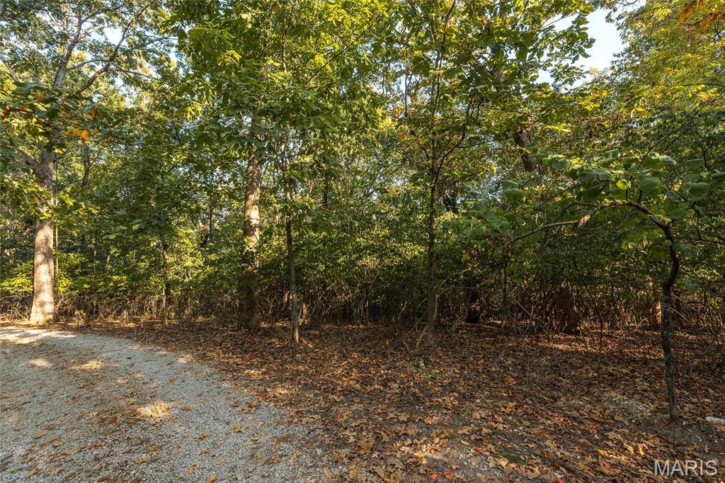 0 Mikel Lane High Ridge, MO 63049 - Photo 3 of 12