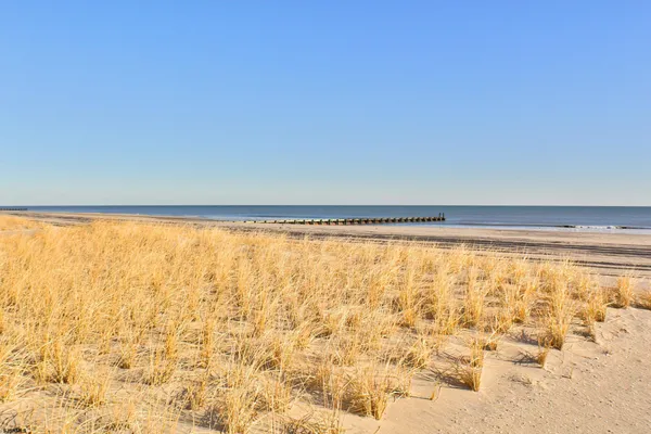 $18,500 | 9506 Ventnor Avenue, Unit 8, Margate City, NJ 08402