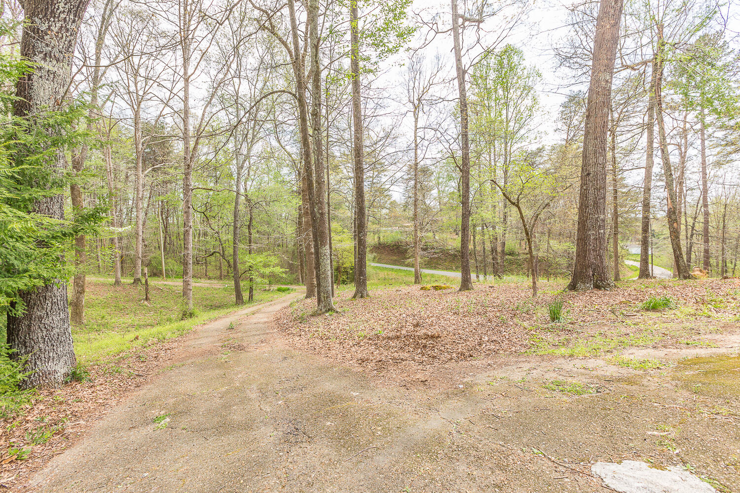 344 Prospect Road Chickamauga, GA 30707 - Photo 23 of 26 344 Prospect Road HD -23