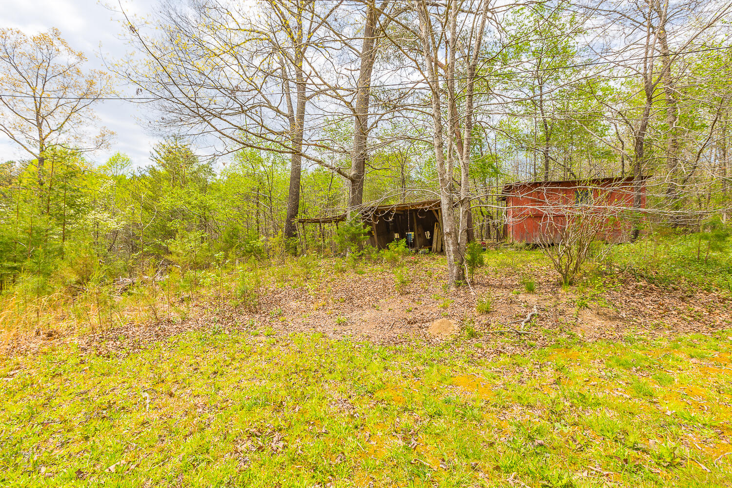 344 Prospect Road Chickamauga, GA 30707 - Photo 5 of 26 344 Prospect Road HD -4
