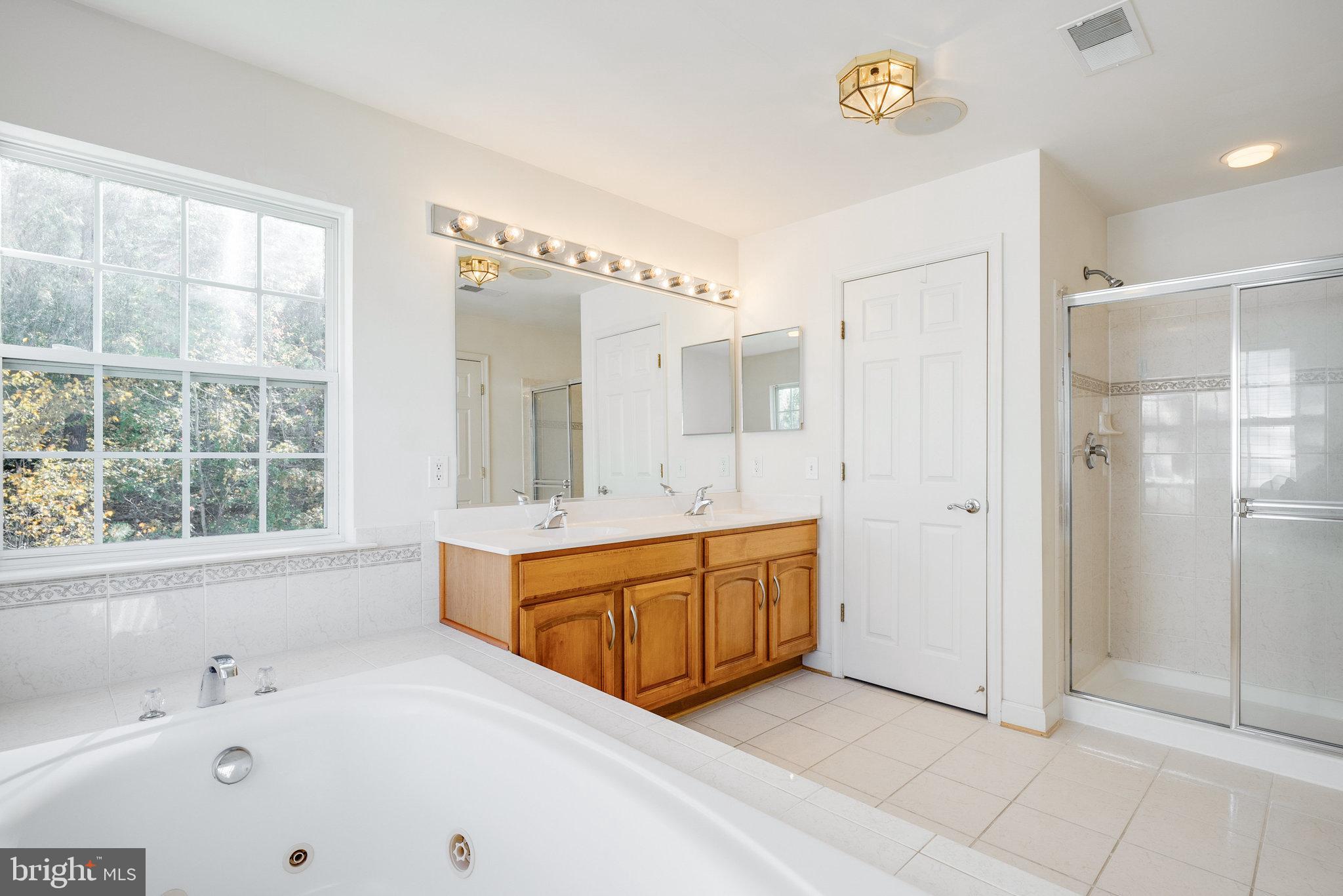 9117 Sumner Grove Drive Laurel, MD 20708 - Photo 32 of 43 Owner's Super Bath with Jetted Tub