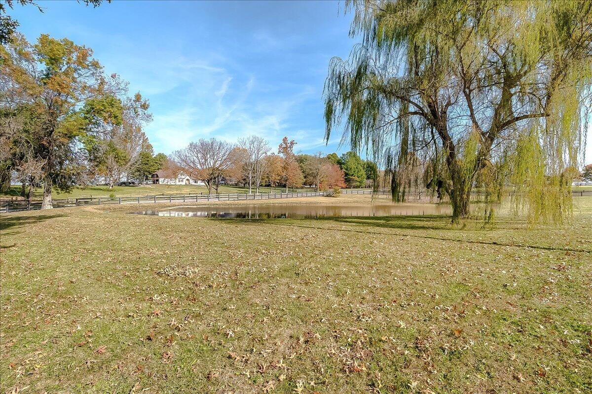 5376 Stewart Road Lexington, KY 40516 - Photo 3 of 98 Pond