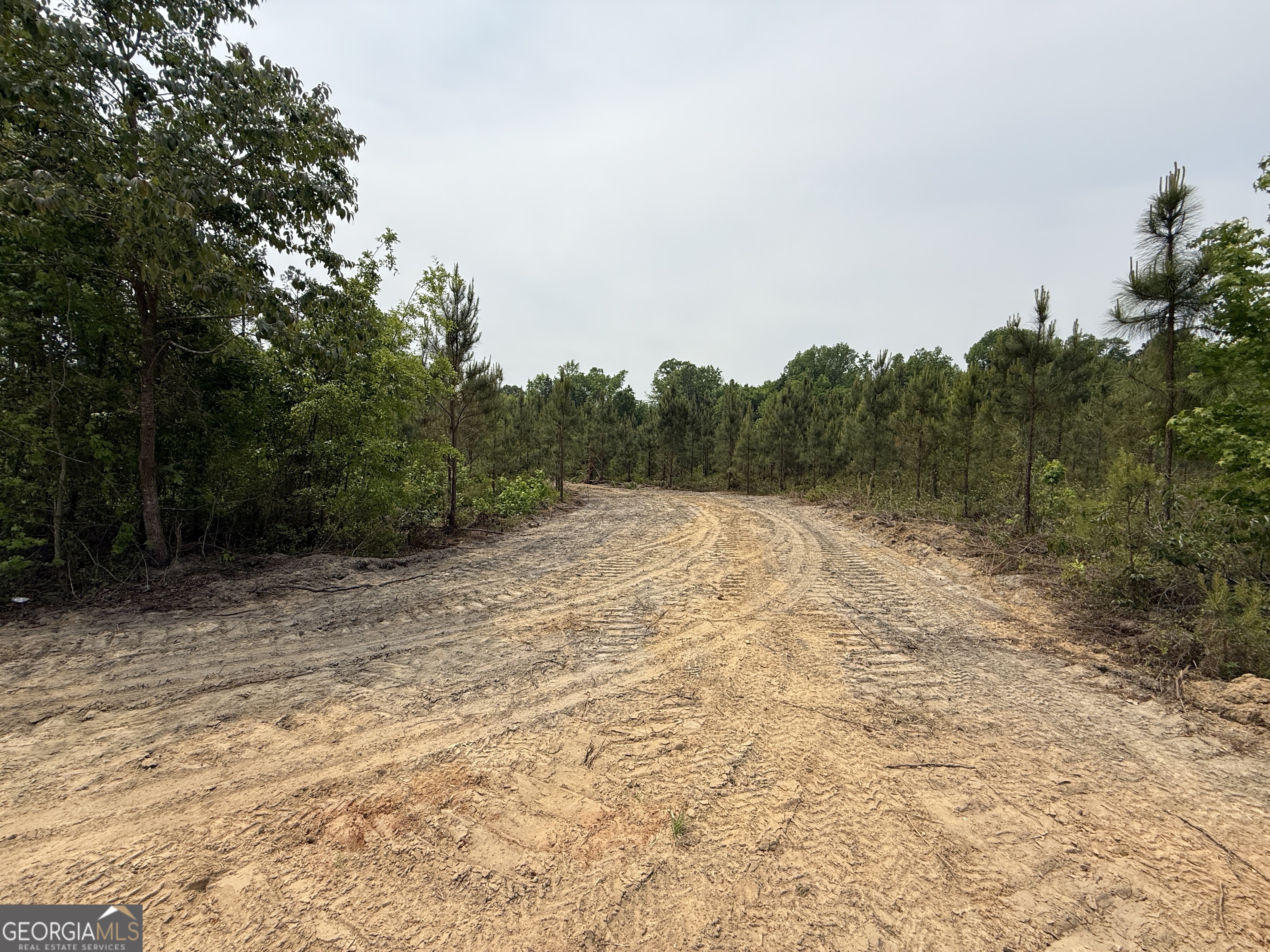13 Graham Lane Cadwell, GA 31009 - Photo 7 of 11 a view of a backyard of the house