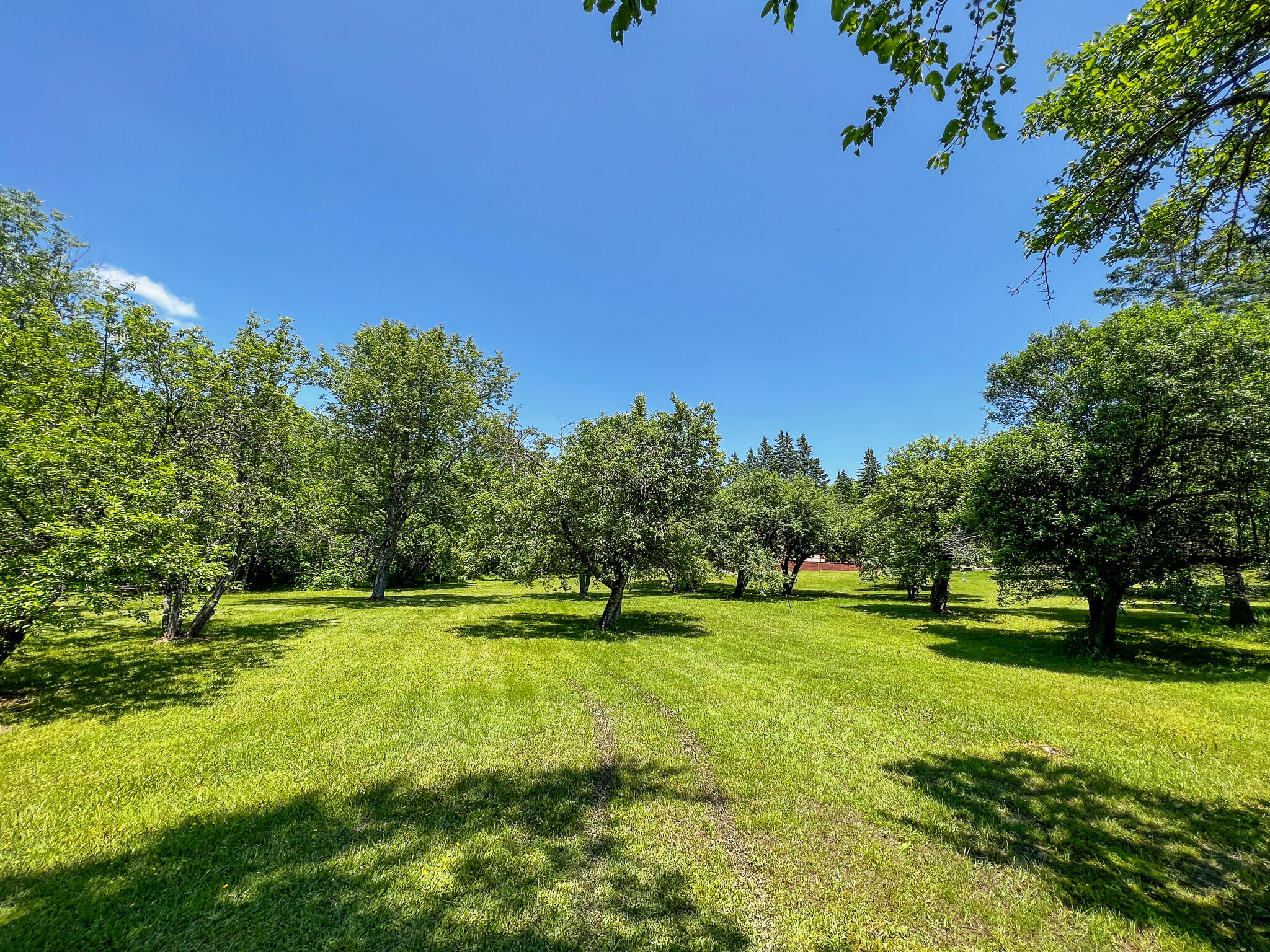 245 Waters Road Patten, ME 04765 - Photo 13 of 35 13