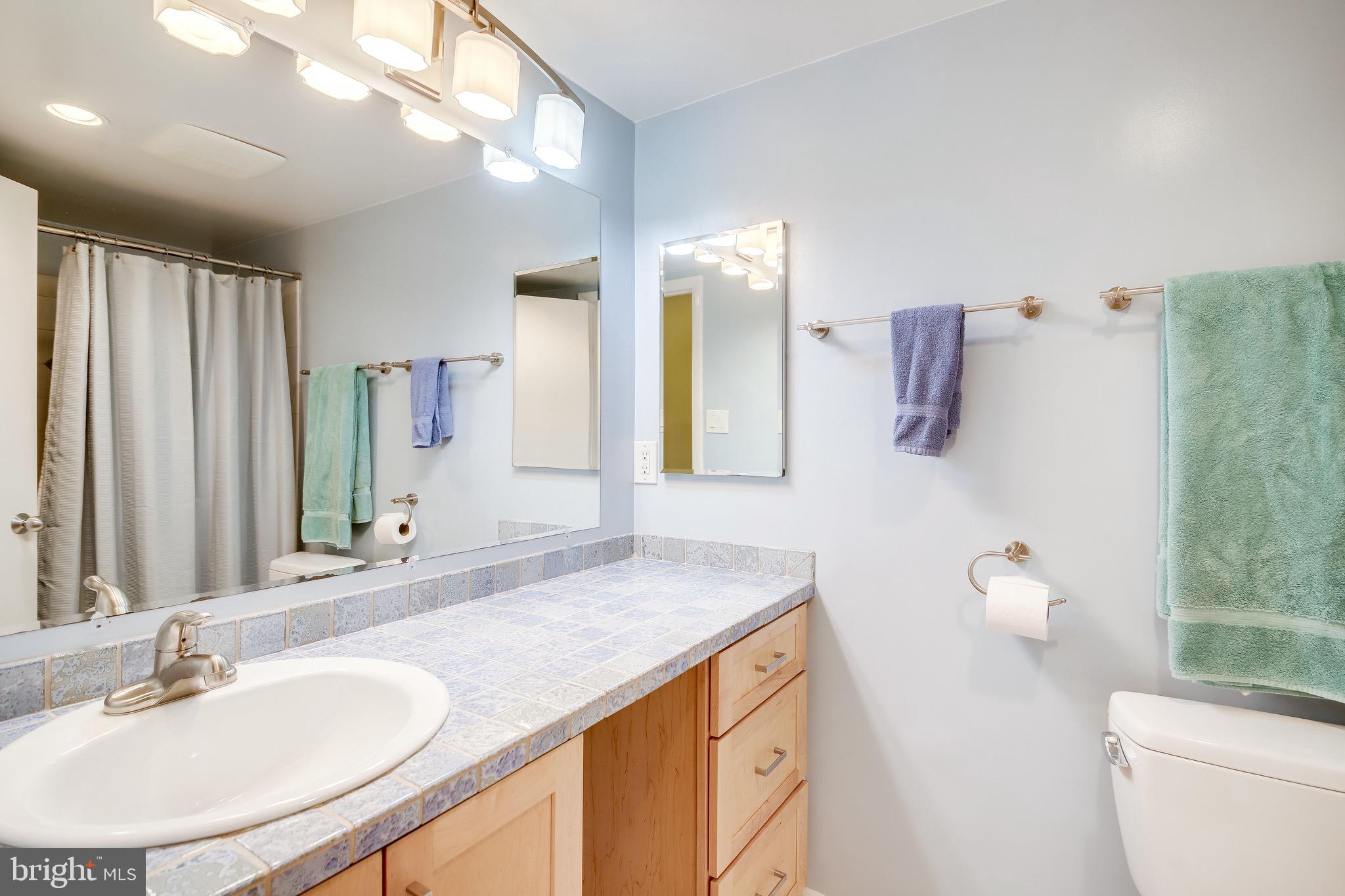 1604 Waters Edge Lane Reston, VA 20190 - Photo 41 of 76
