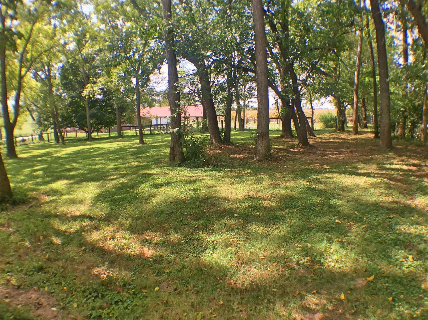 263 Hutchison Road Paris, KY 40361 - Photo 52 of 56 Photo 52