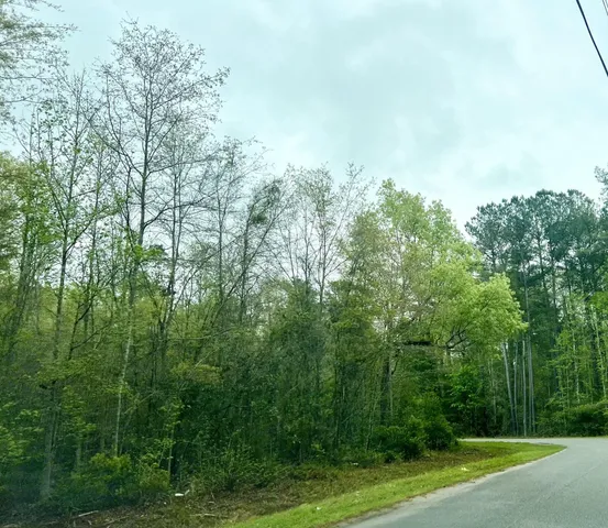 $189,000 | 0 Glen Street, Walterboro, SC 29488