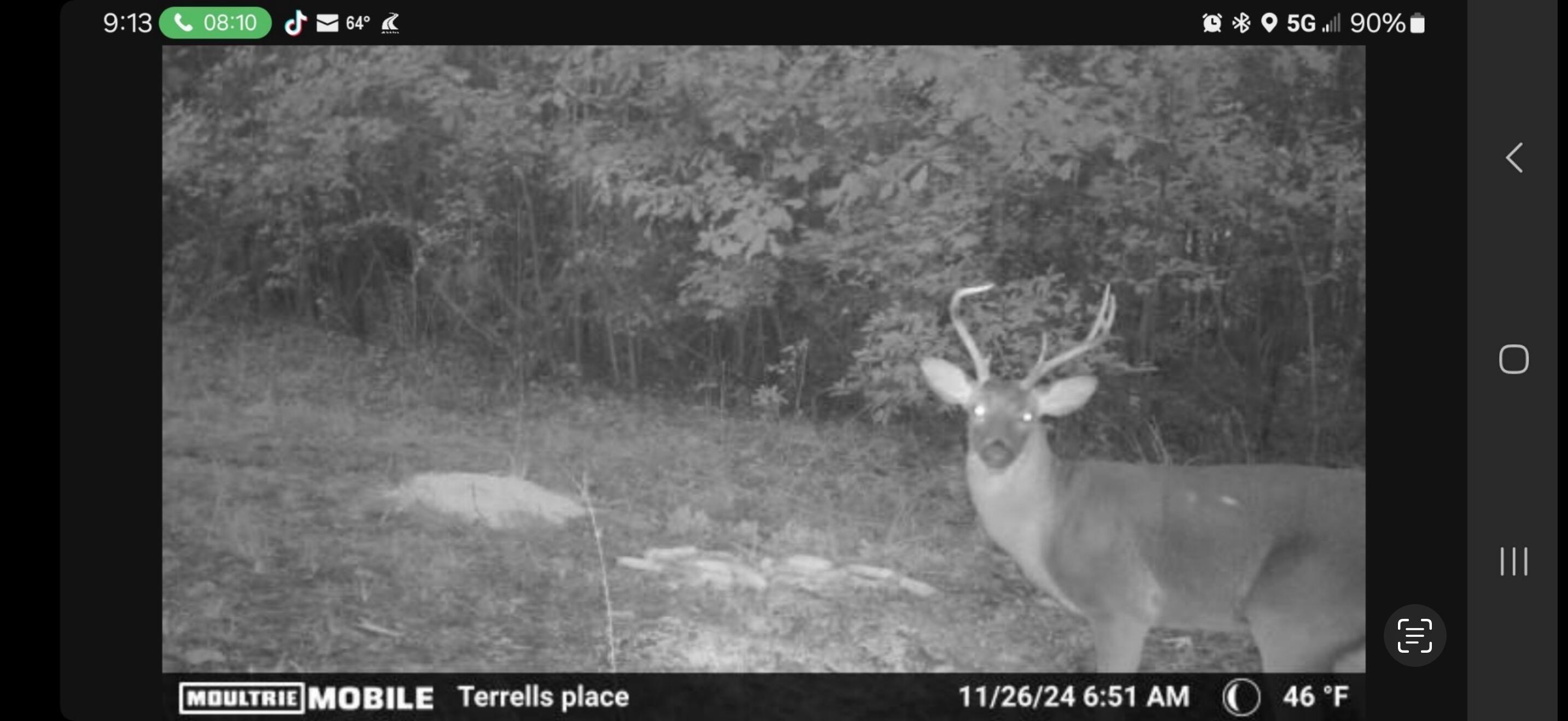 0 Glen Street Walterboro, SC 29488 - Photo 2 of 3 IMG_6057