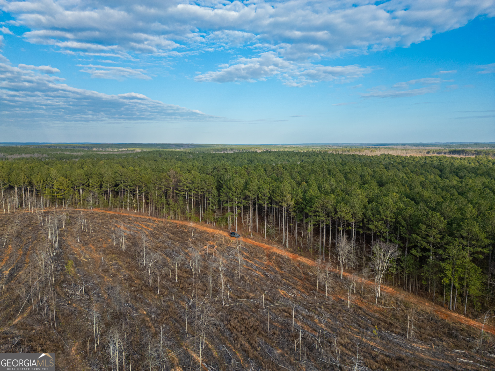 2 Smith Rocky Branch Road Carlton, GA 30627 - Photo 3 of 10