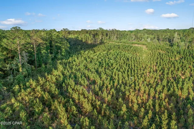 $44,999 | 177 Bonifay, Unit LOT 1, Bonifay, FL 32425